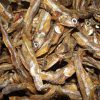 فروش پودر ماهی خشک متو